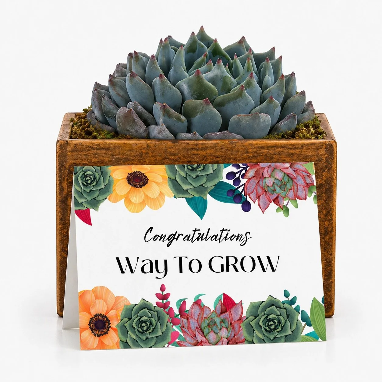 Congrats way to grow.jpg