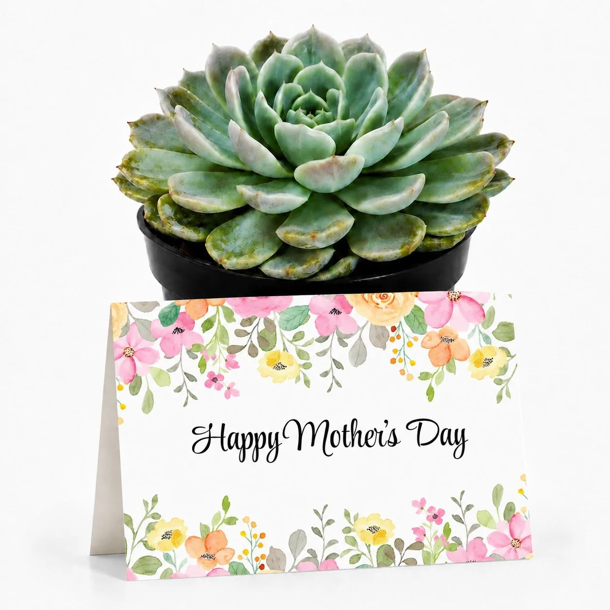 PP Happy mothers day.jpg