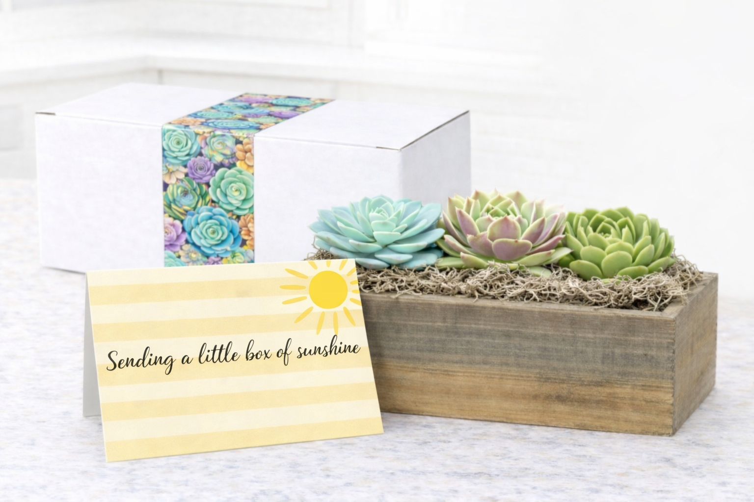 Sending A Little Box Of Sunshine | Succulent Gift & Personalized Card
