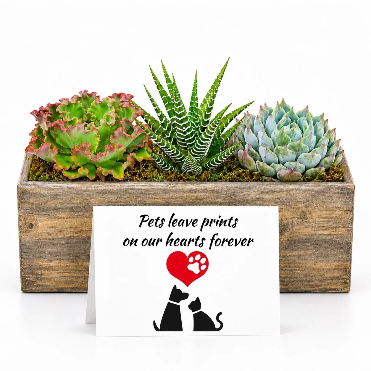 pet leave prints - Arrangement.jpg