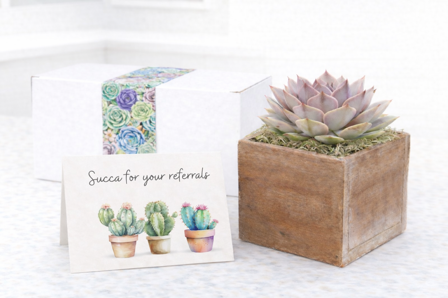 Wood Succa Referrals.png