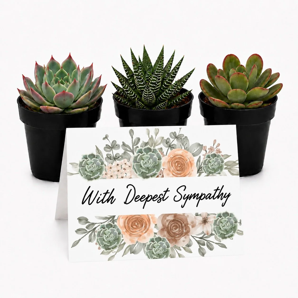 Deepest Sympathy - Succulent Trio.jpg