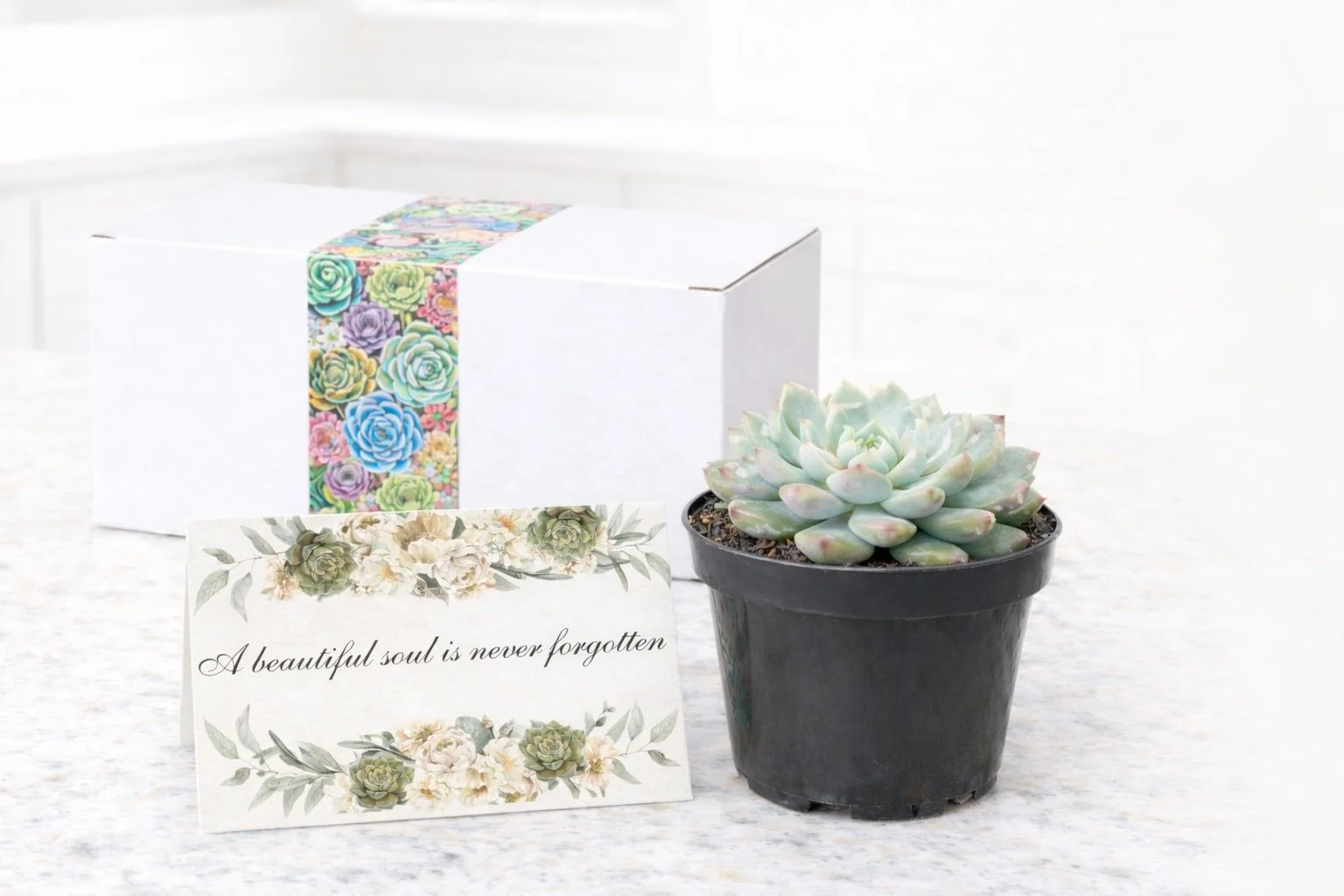 Single beautiful soul.jpg