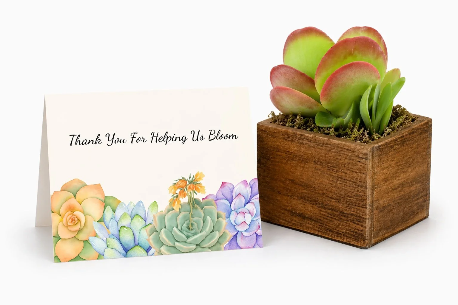 Appreciation Gifts | Thank You For Helping Me Bloom