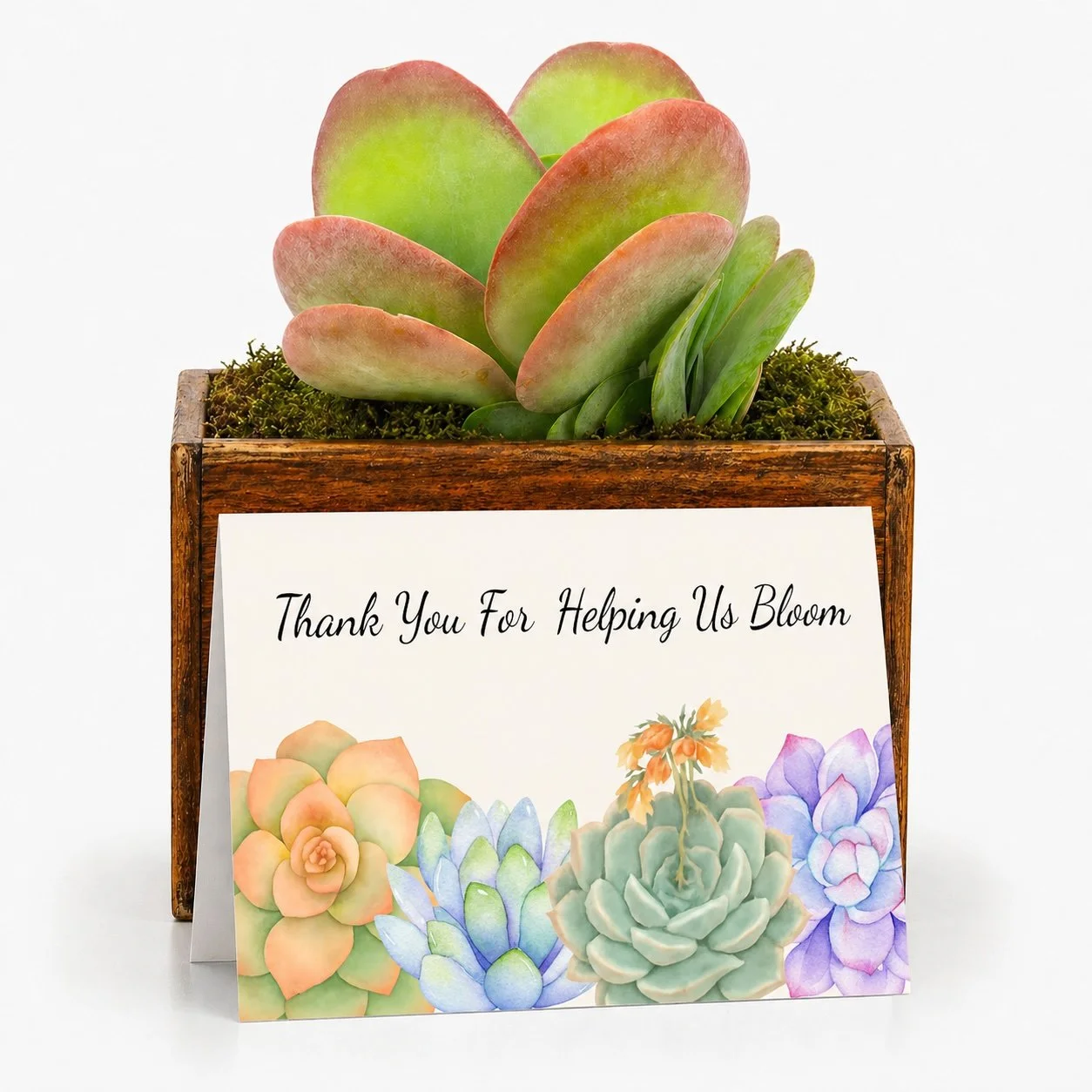 thank you for helping us bloom.jpg