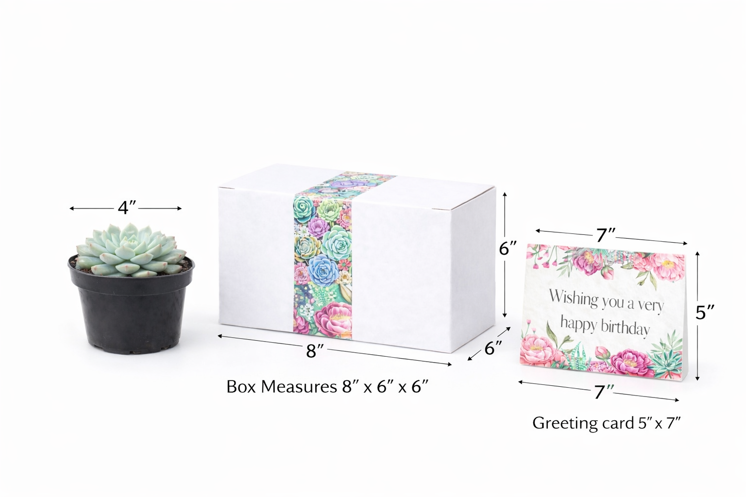 Succulent Gift and Card