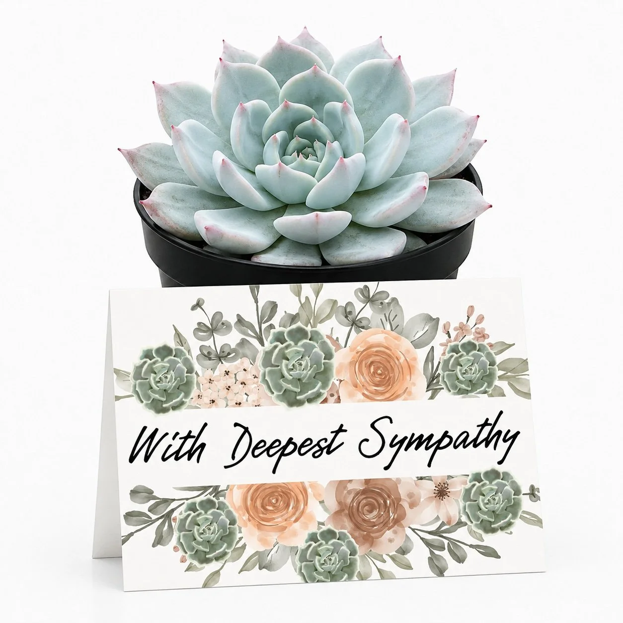PP With Deepest Sympathy.jpg