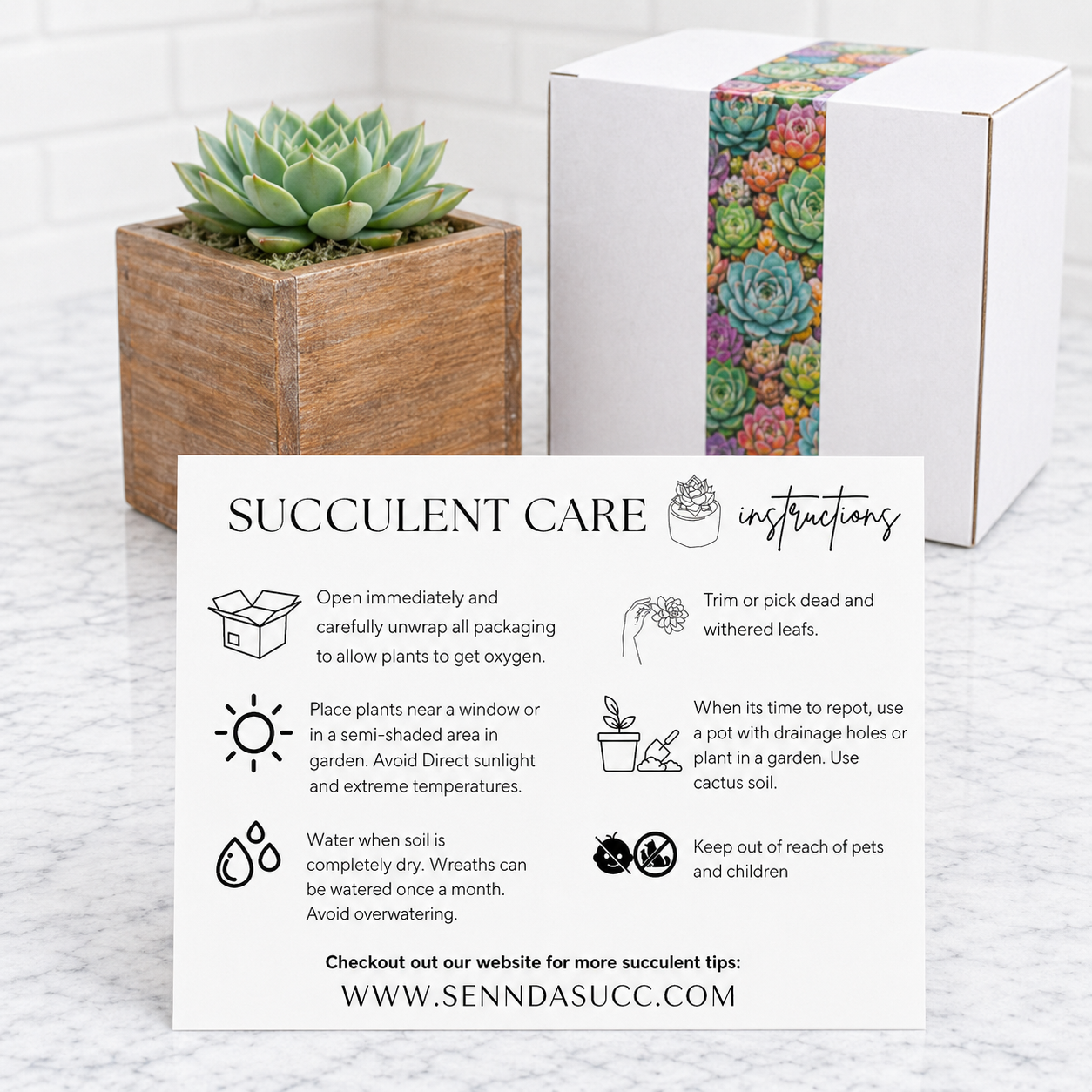 Succulent Care Card.png
