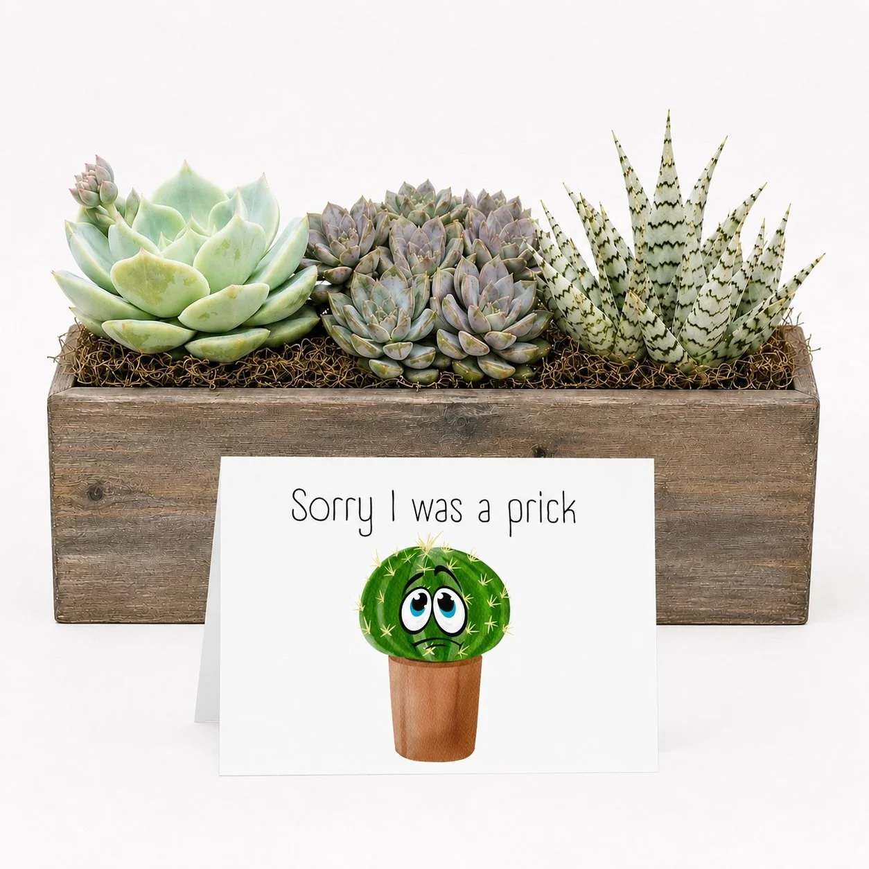 Arrangement Sorry I was Prick.jpg