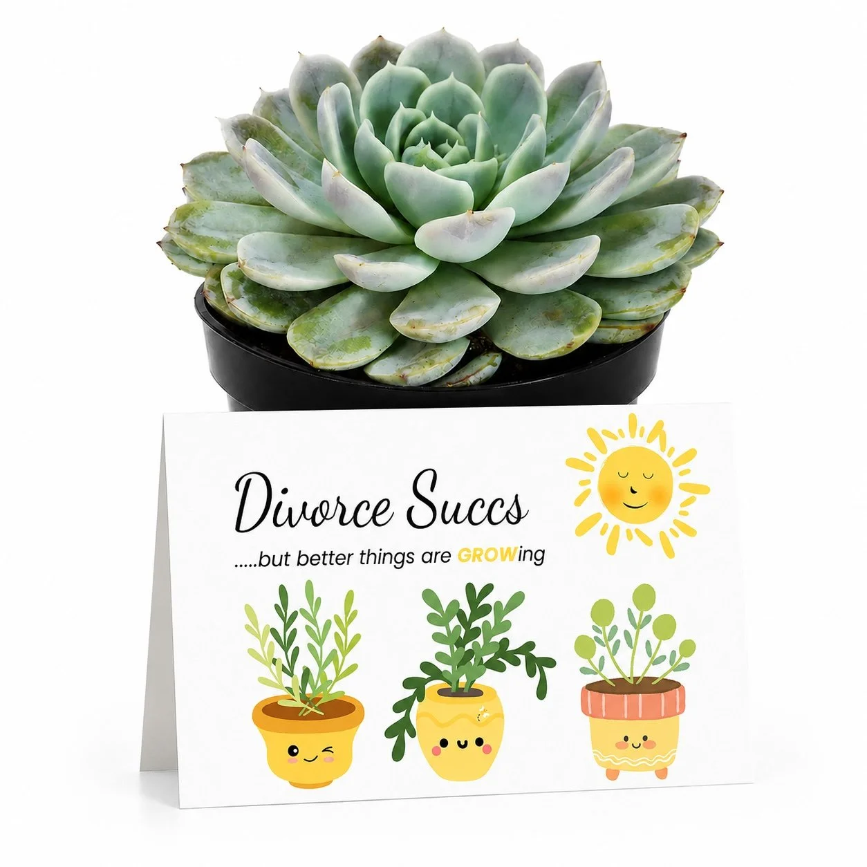 PP Divorce Succs.jpg