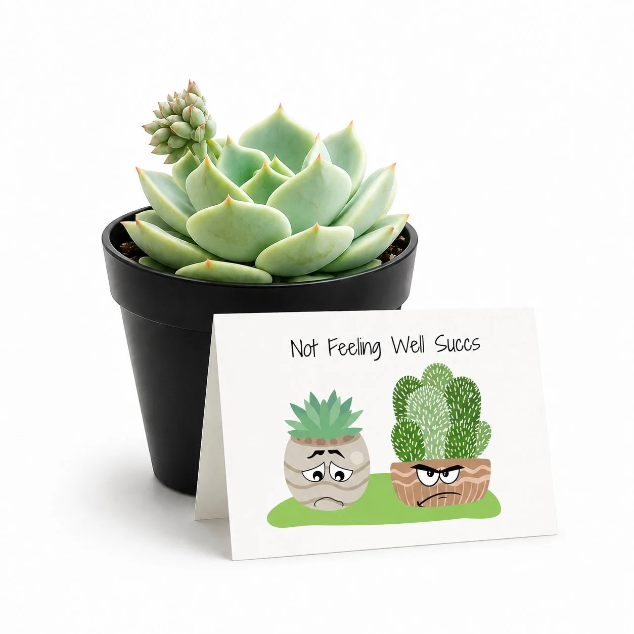 PP Not feeling well Succs.jpg
