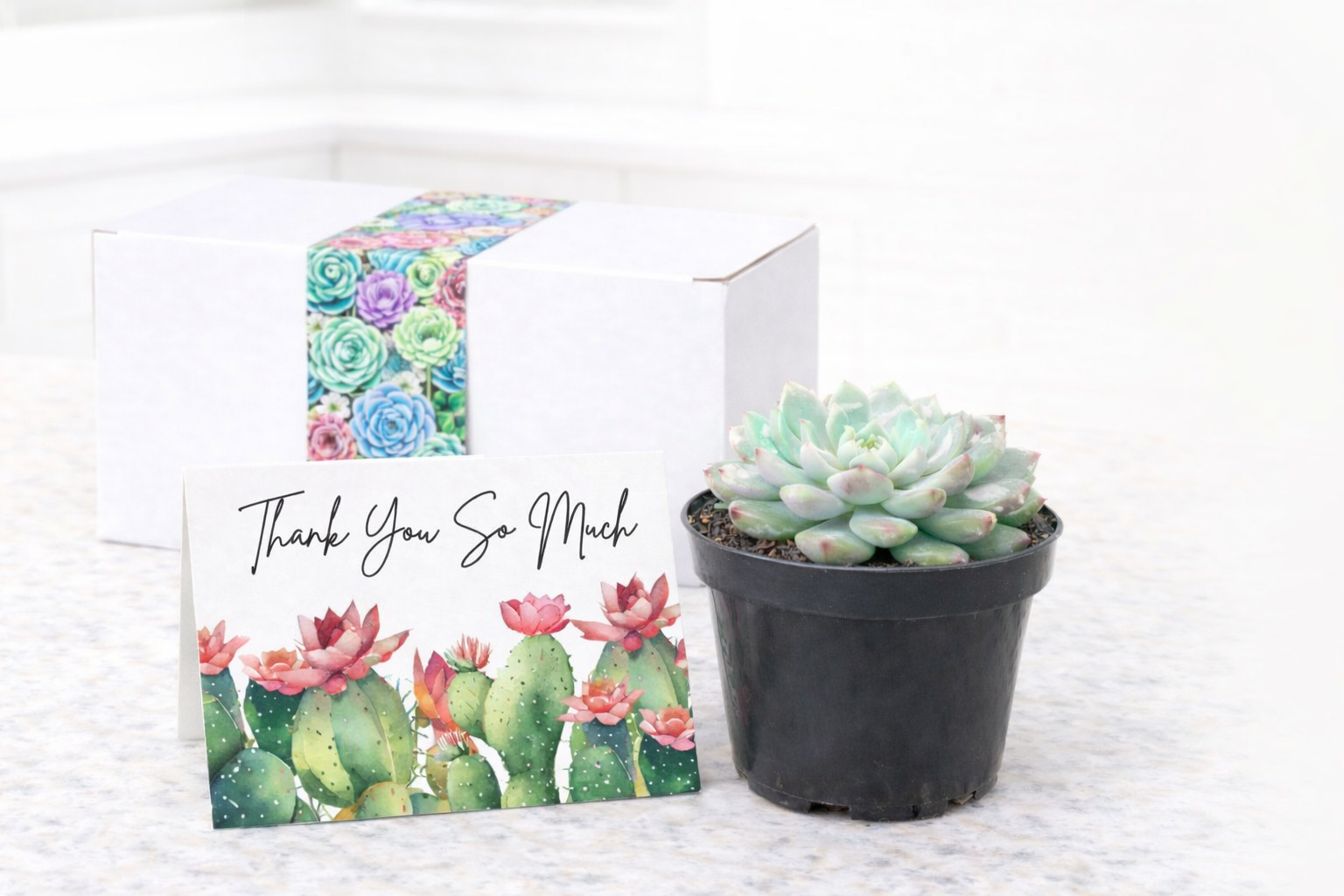 Single Thanks so much.png