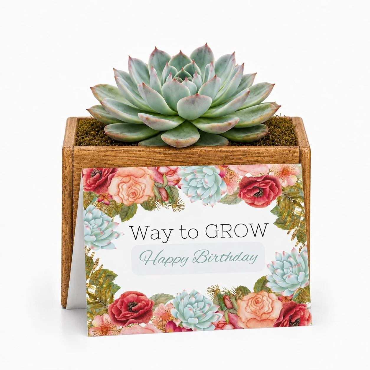 Way to Grow - Potted.jpg