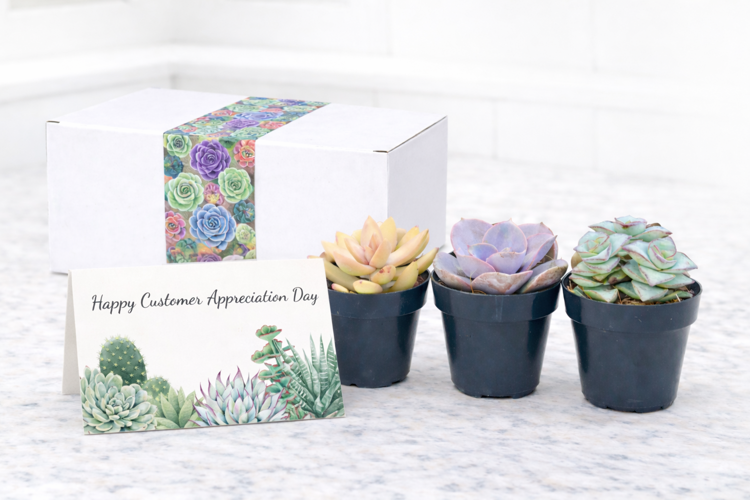 Assorted Happy Day.png