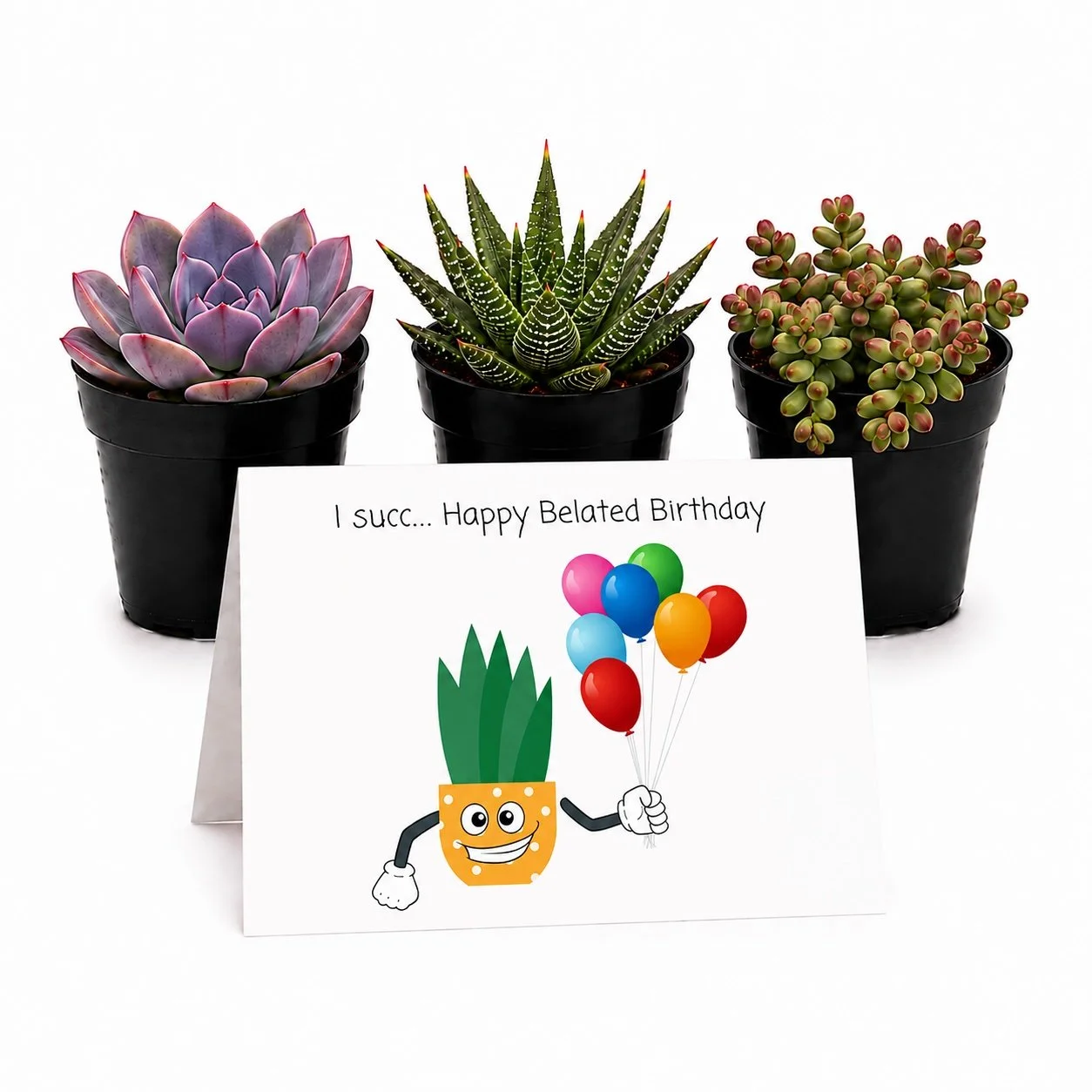 Belated bday - Trio.jpg