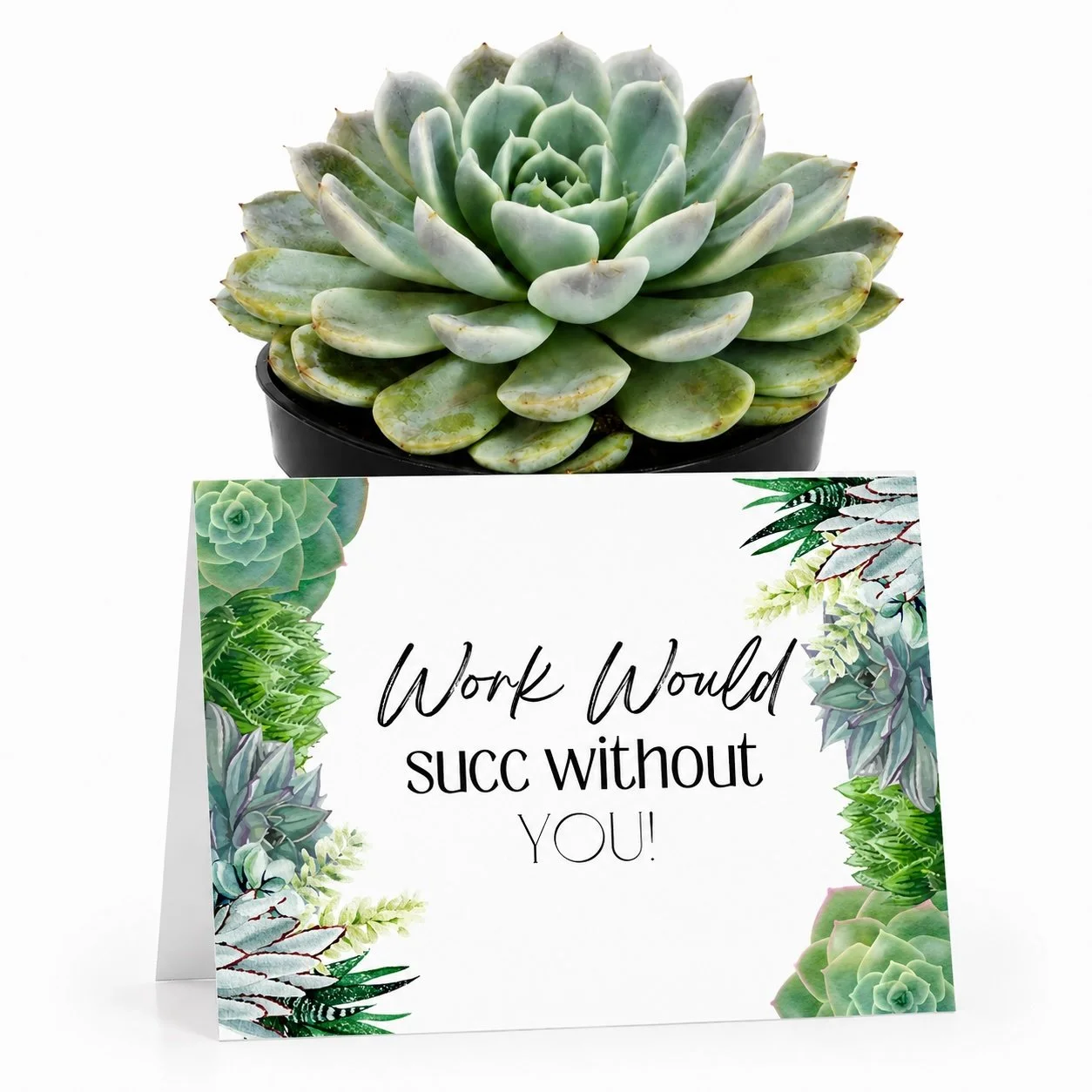 PP Work would succ without you.jpg