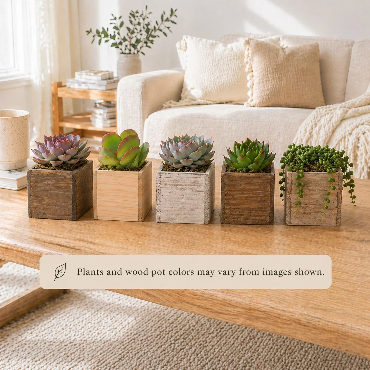 Succulent Gift Styles.jpg (Copy)