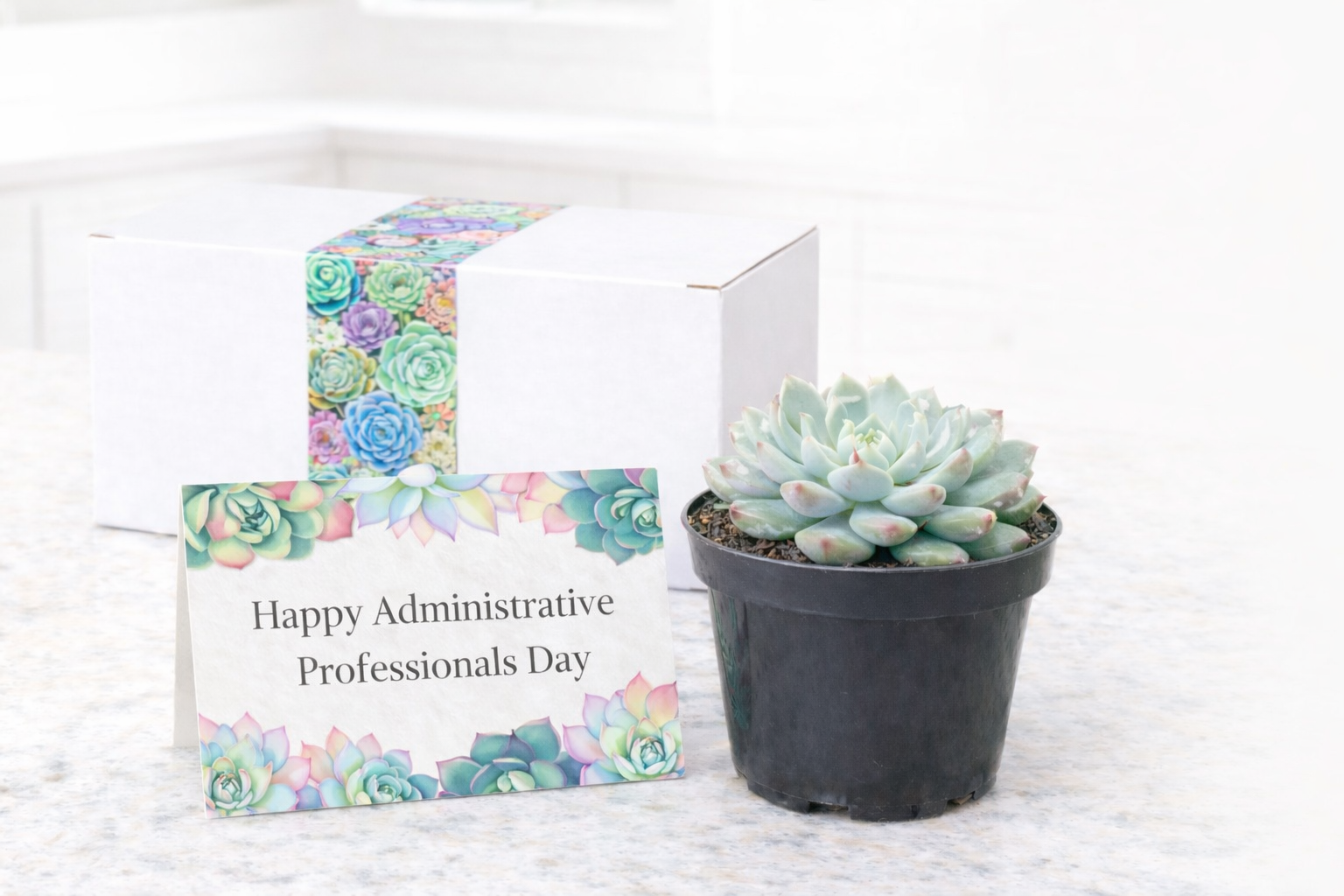 Single Happy admin.png