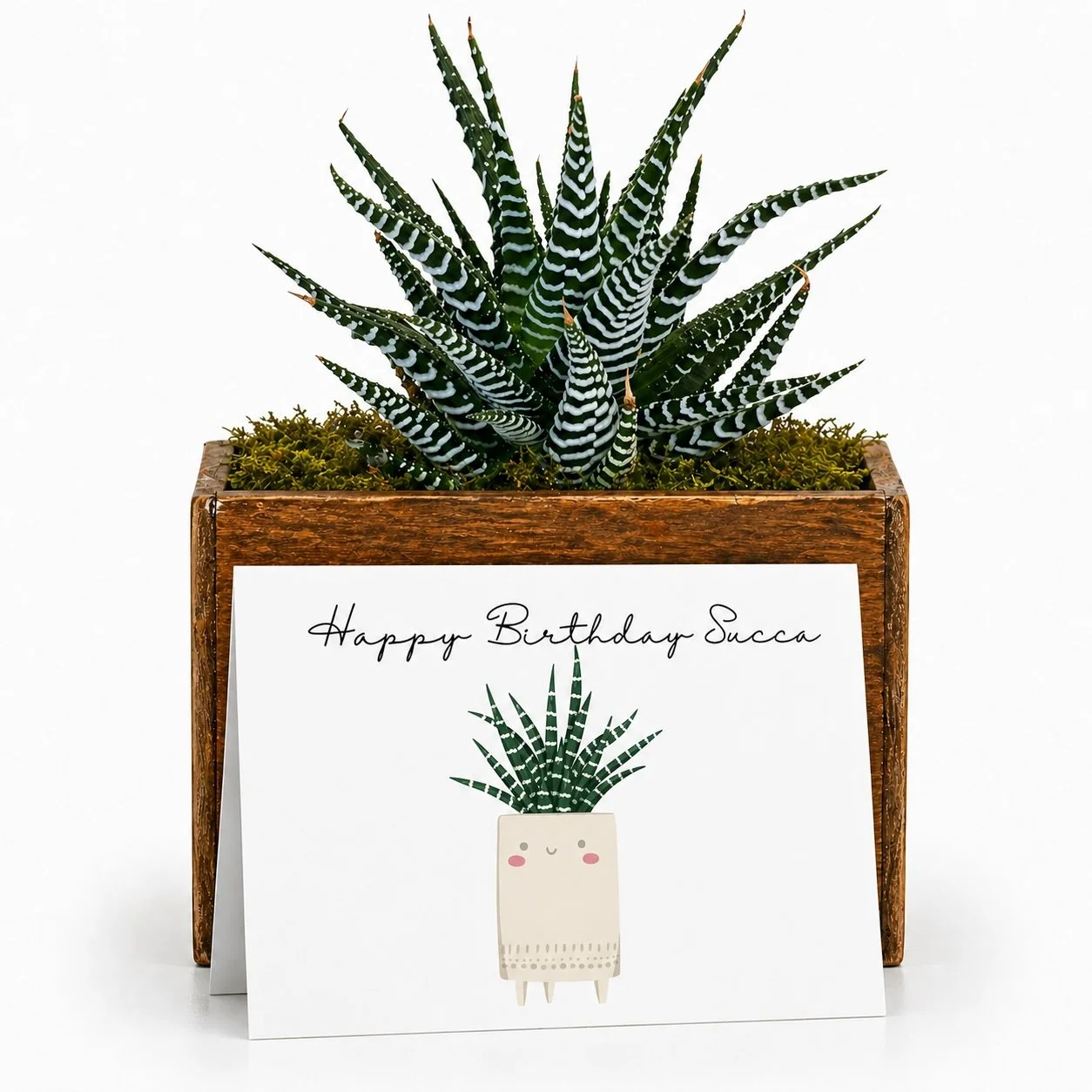 Funny Birthday Gift - Succulent with Card | Happy Birthday Succa