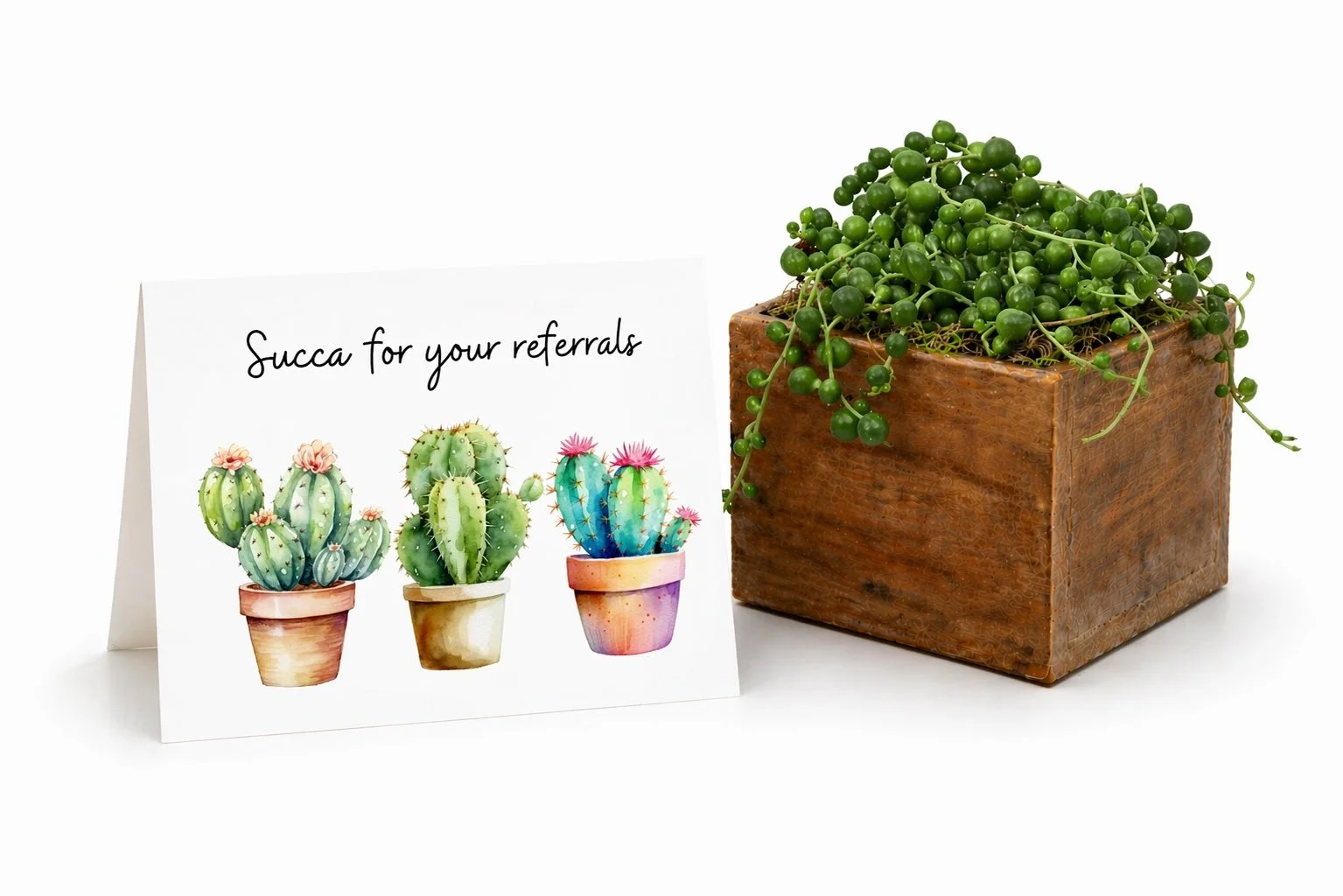 Referral Gift | Succa For Your Referrals