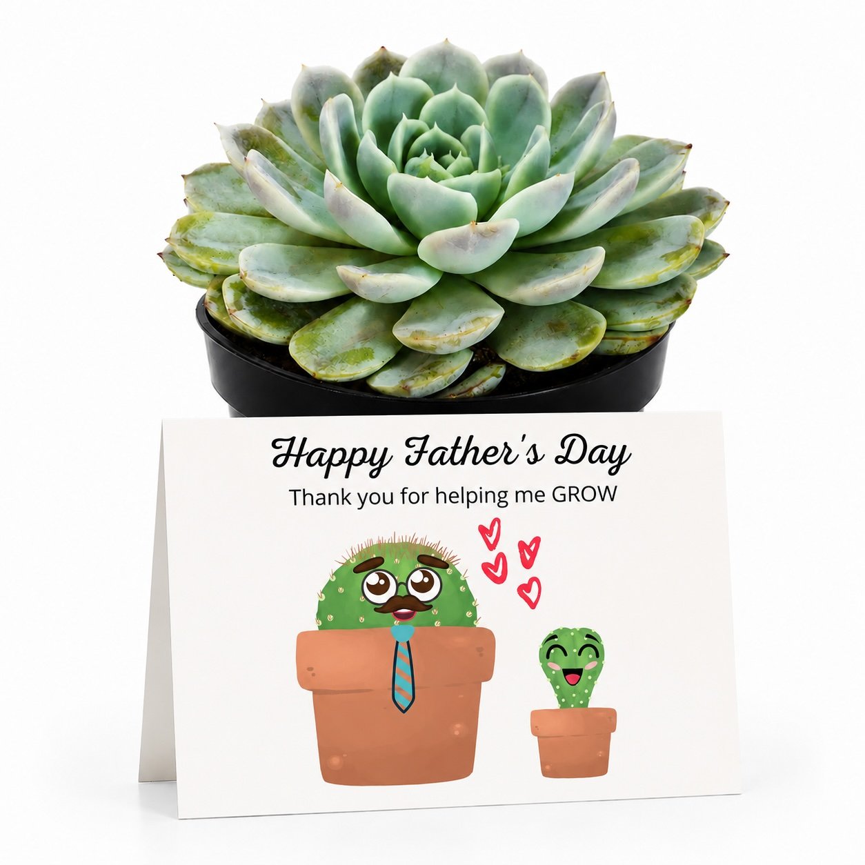 PP Father helping me Grow.jpg
