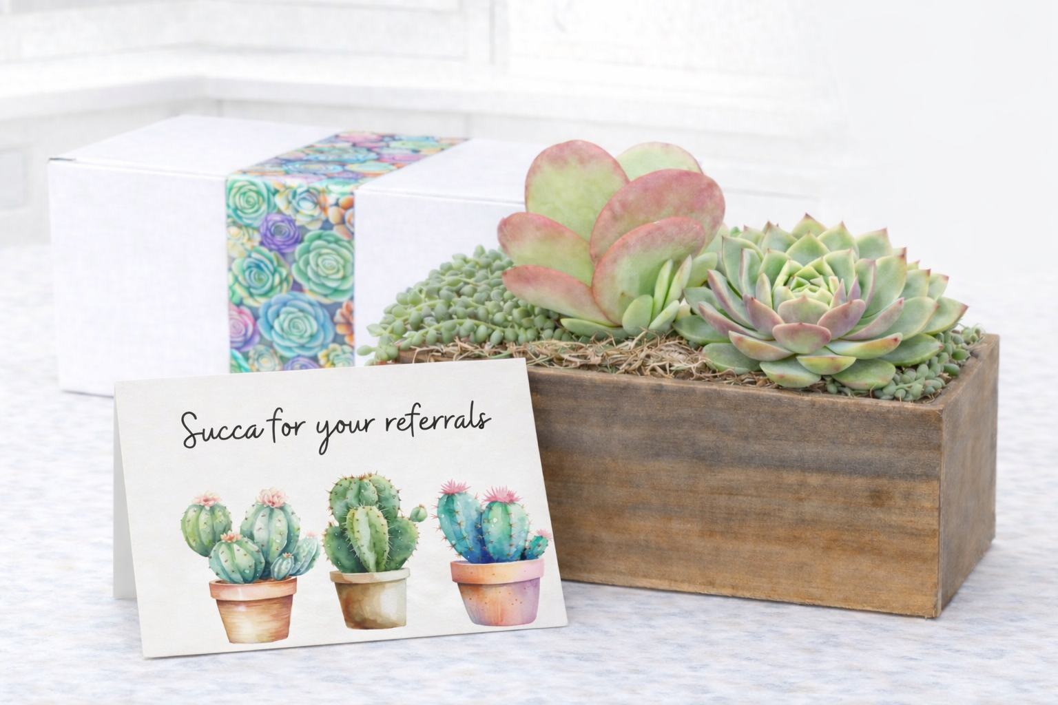 Arrange Succa Referrals.png