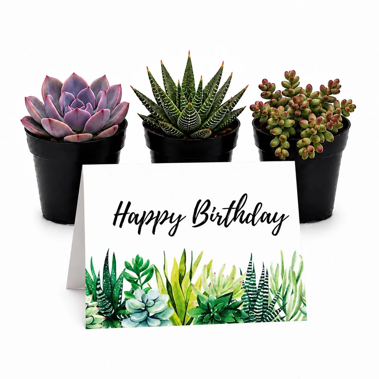 Happy Birthday - trio.jpg