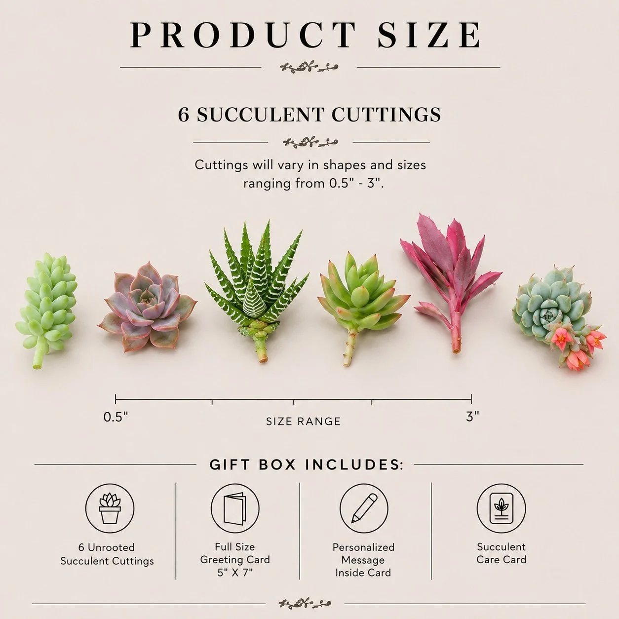 Spec Cuttings.jpg