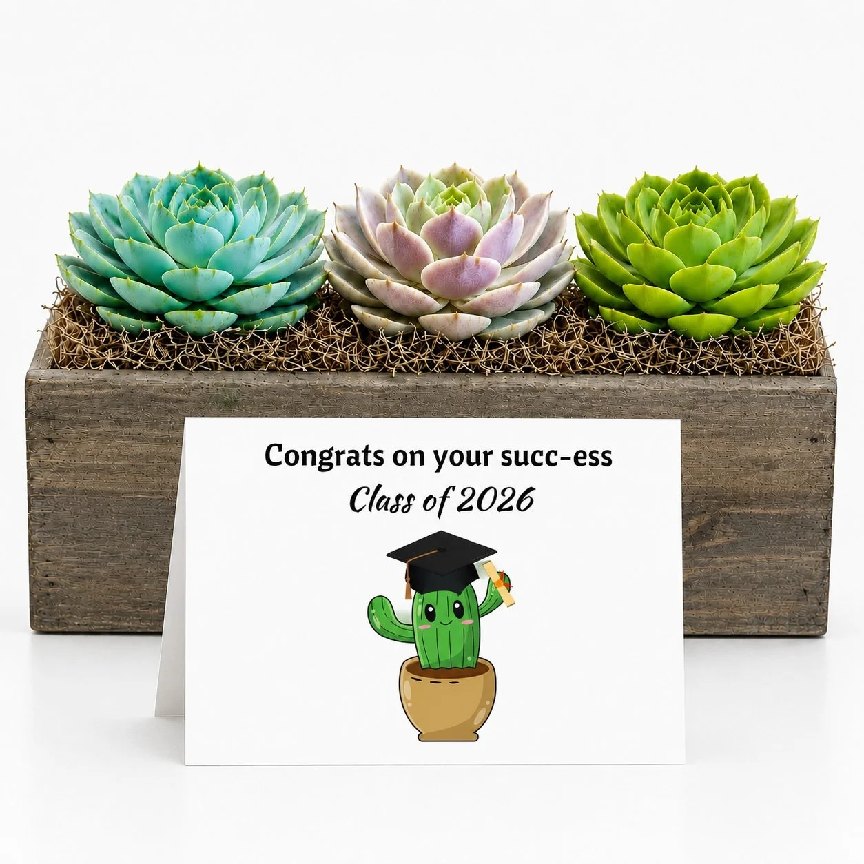 Graduation Gift - Succulent with Card | Congrats on your succ-ess Class of 2026