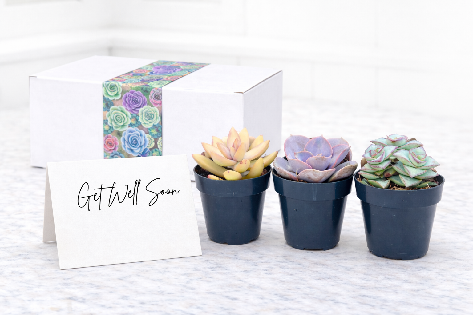 Get well assortment.png