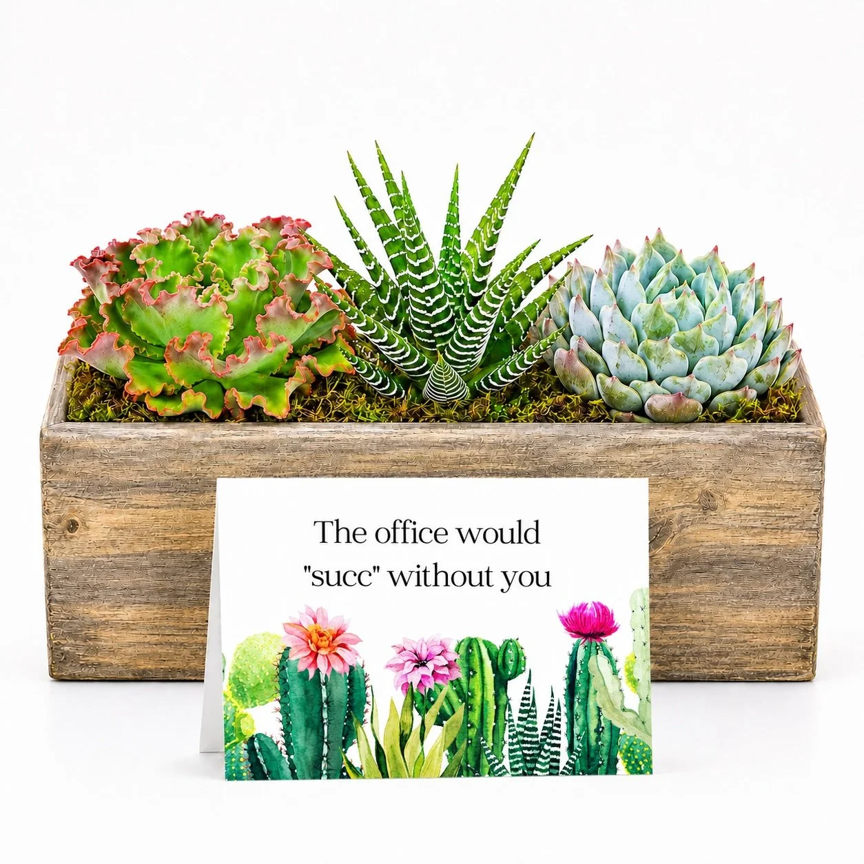 Arrangement office succ.jpg