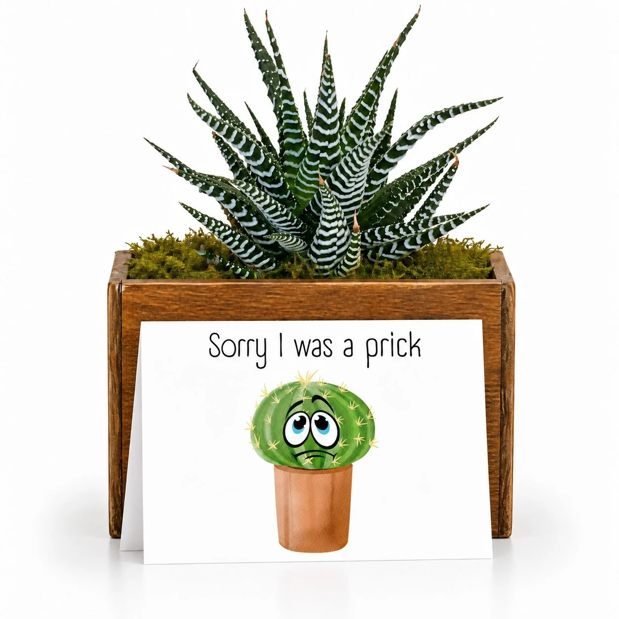 sorry I was a prick - Potted.jpg