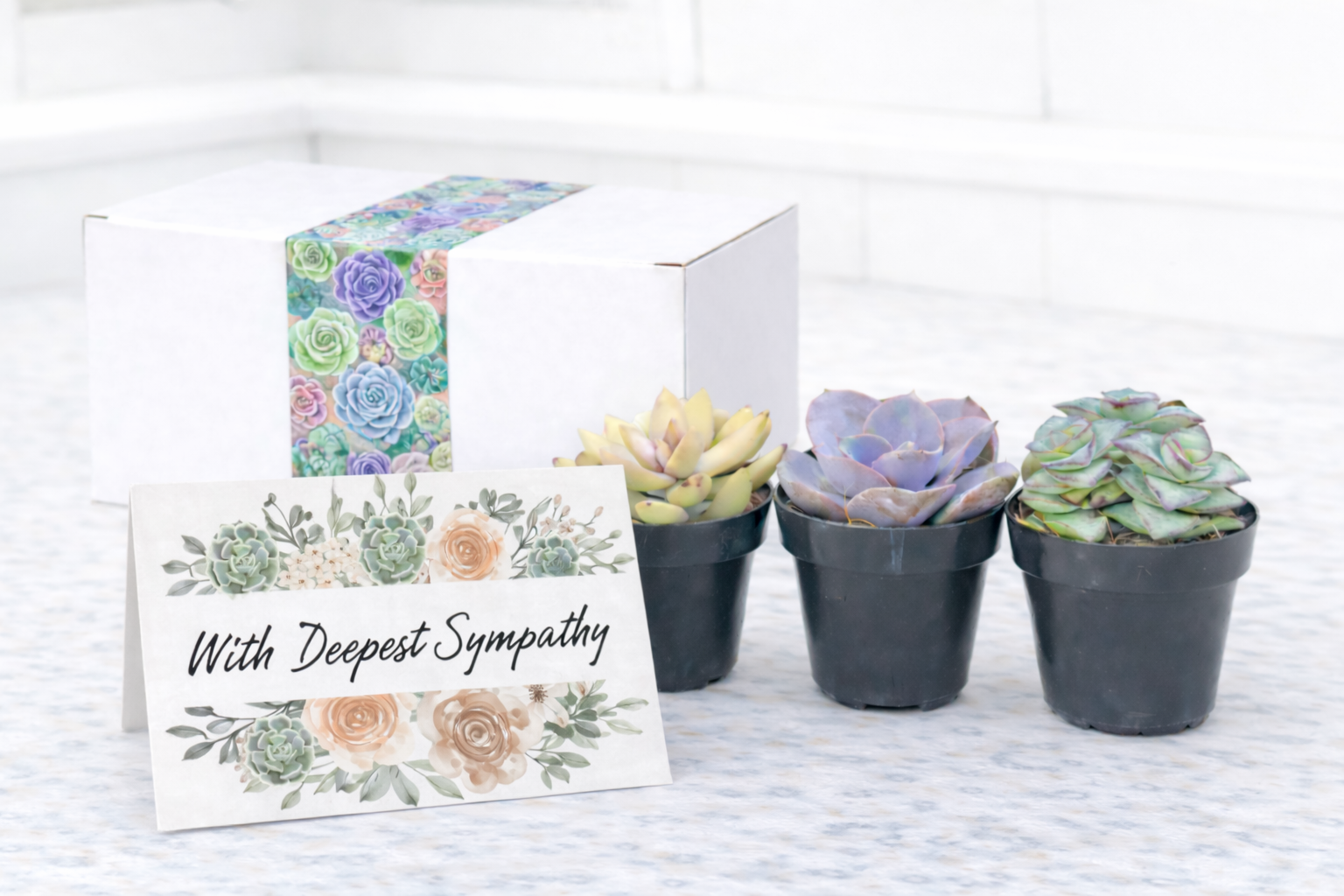 Assorted Deepest Sympathy.png