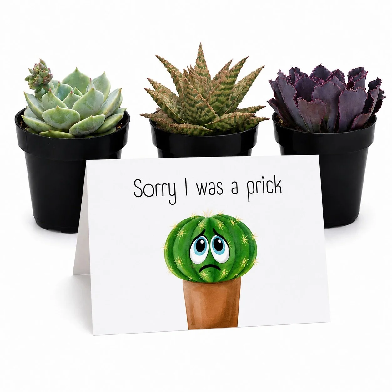 Sorry I was a prick - Main.jpg