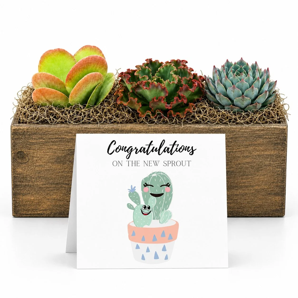 Arrangement congrats sprout.jpg