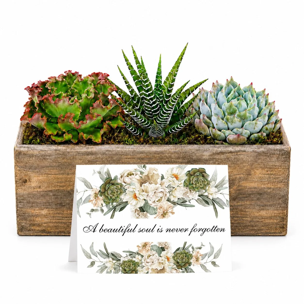 Beautiful Soul - succulent arranement.jpg