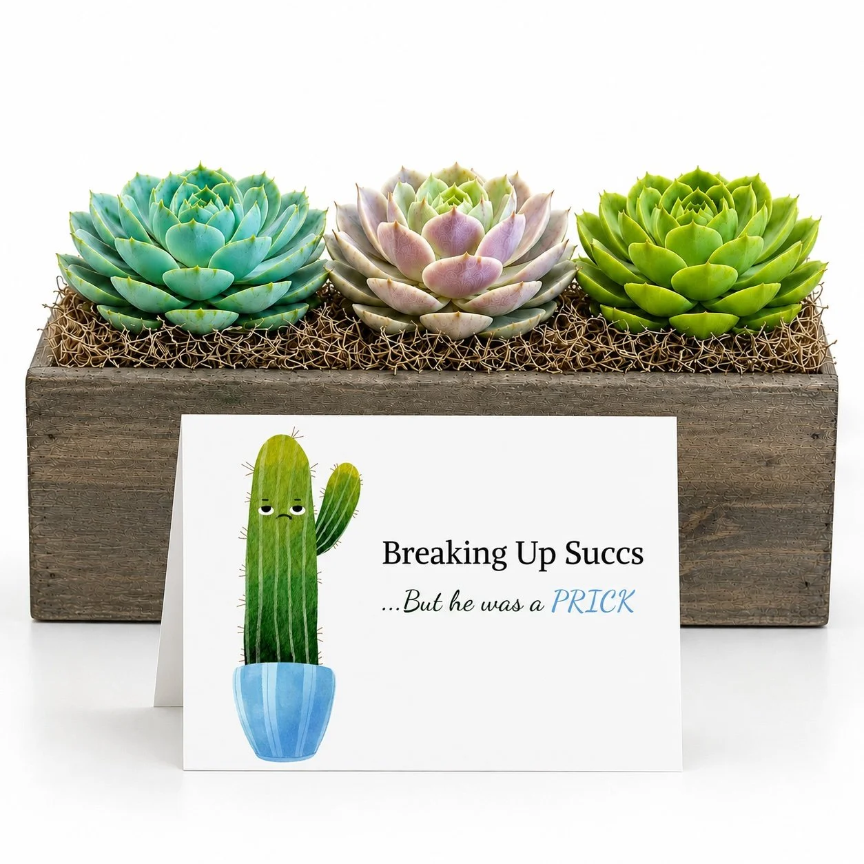 Funny Breakup Gift - Succulent with Card | Breaking Up Succs...but he was a prick