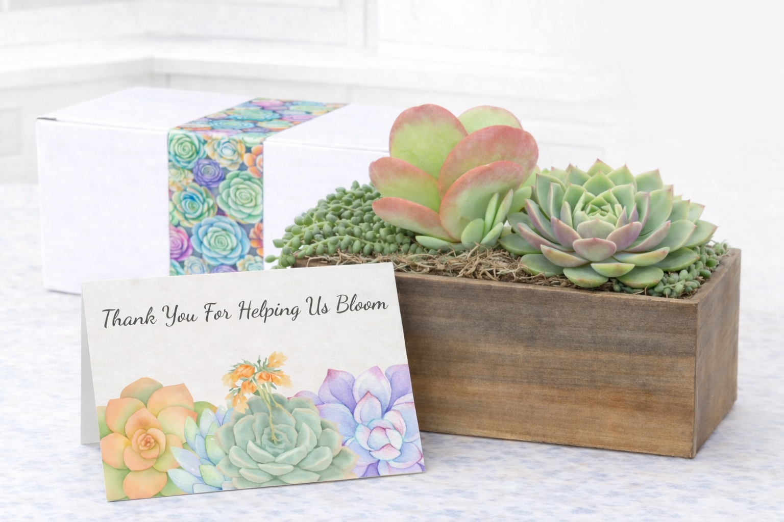 Arrangement Bloom.png