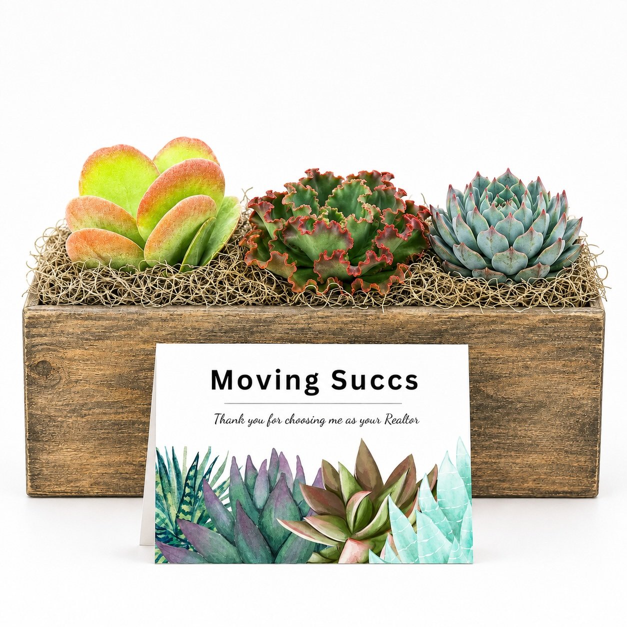 Arrangement 1.jpg