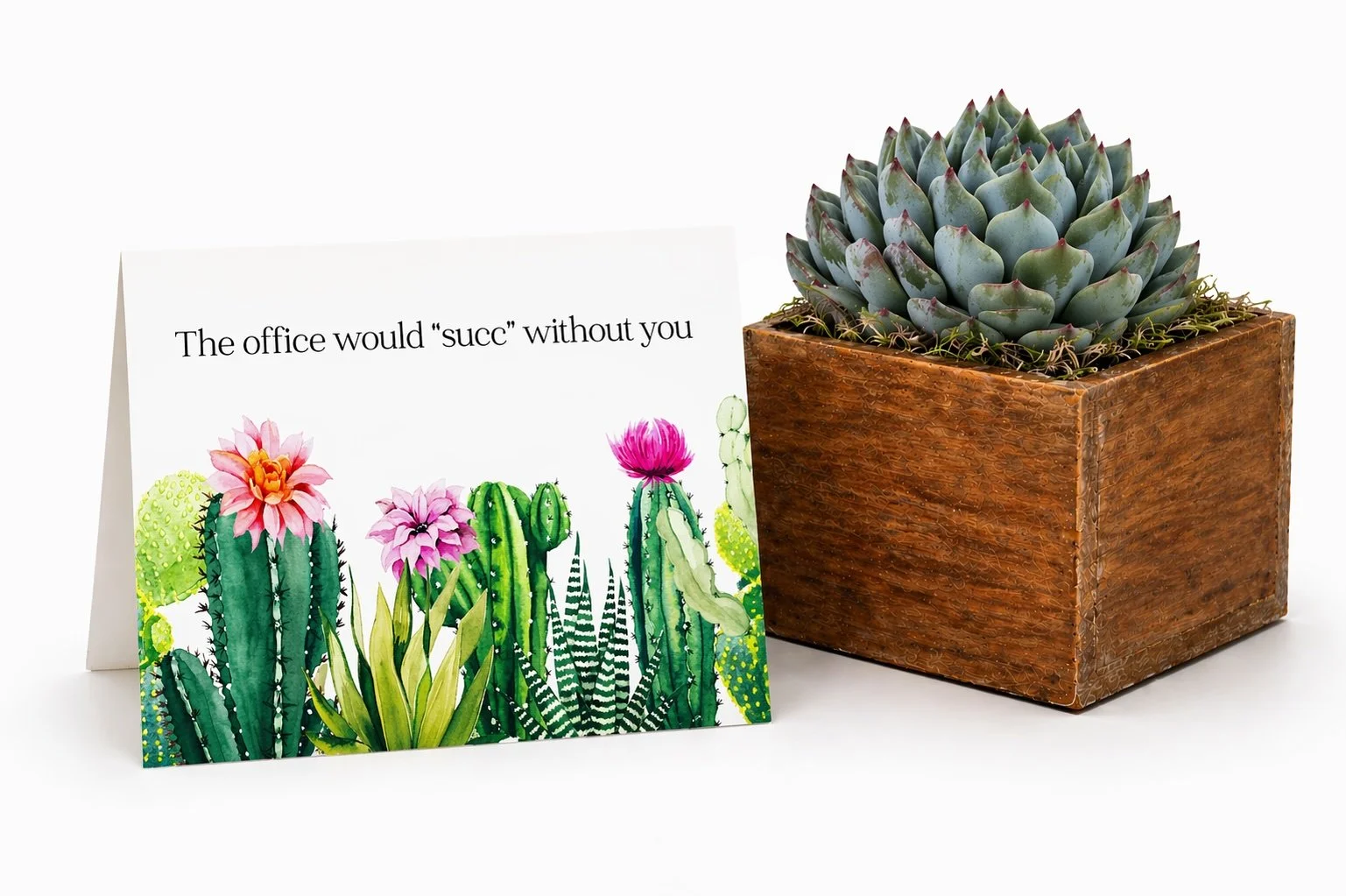Coworker Gifts | The Office Would Succ Without You