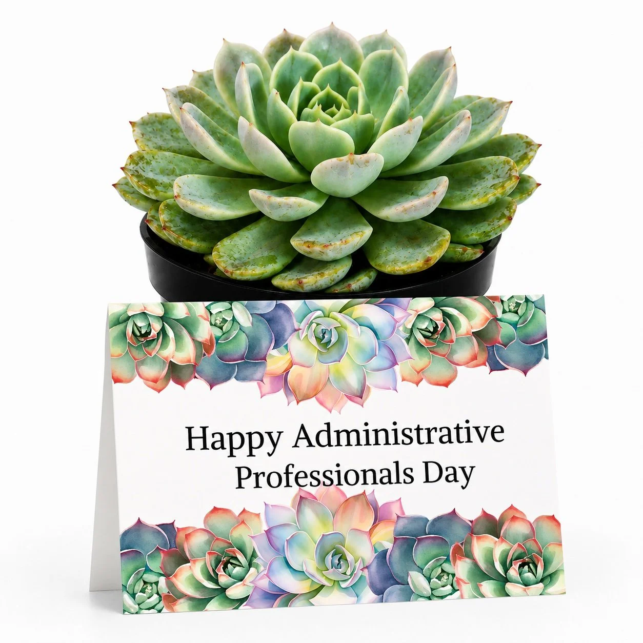 PP Happy Admin Professionals Day.jpg