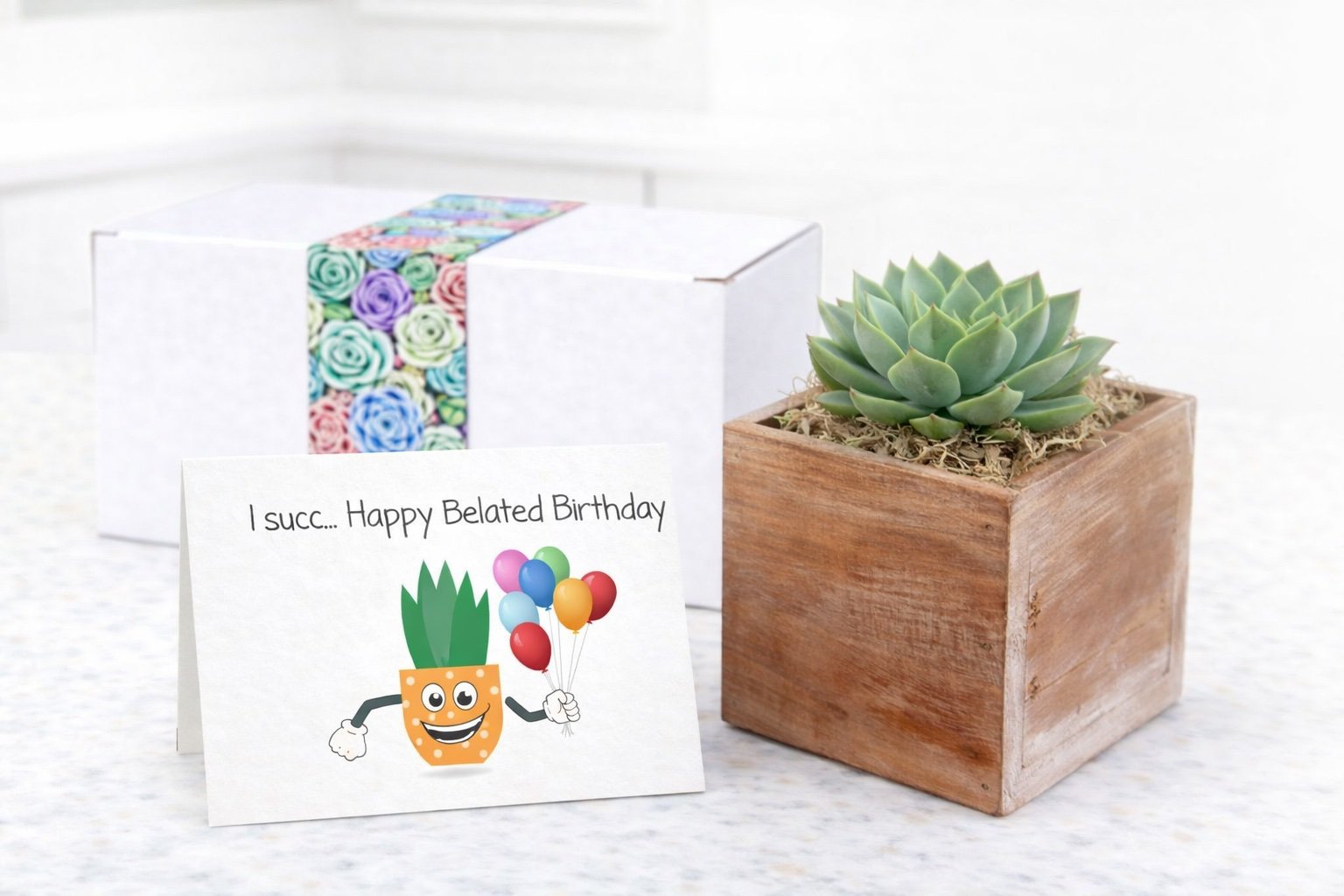 WP - I succ Bday.jpg