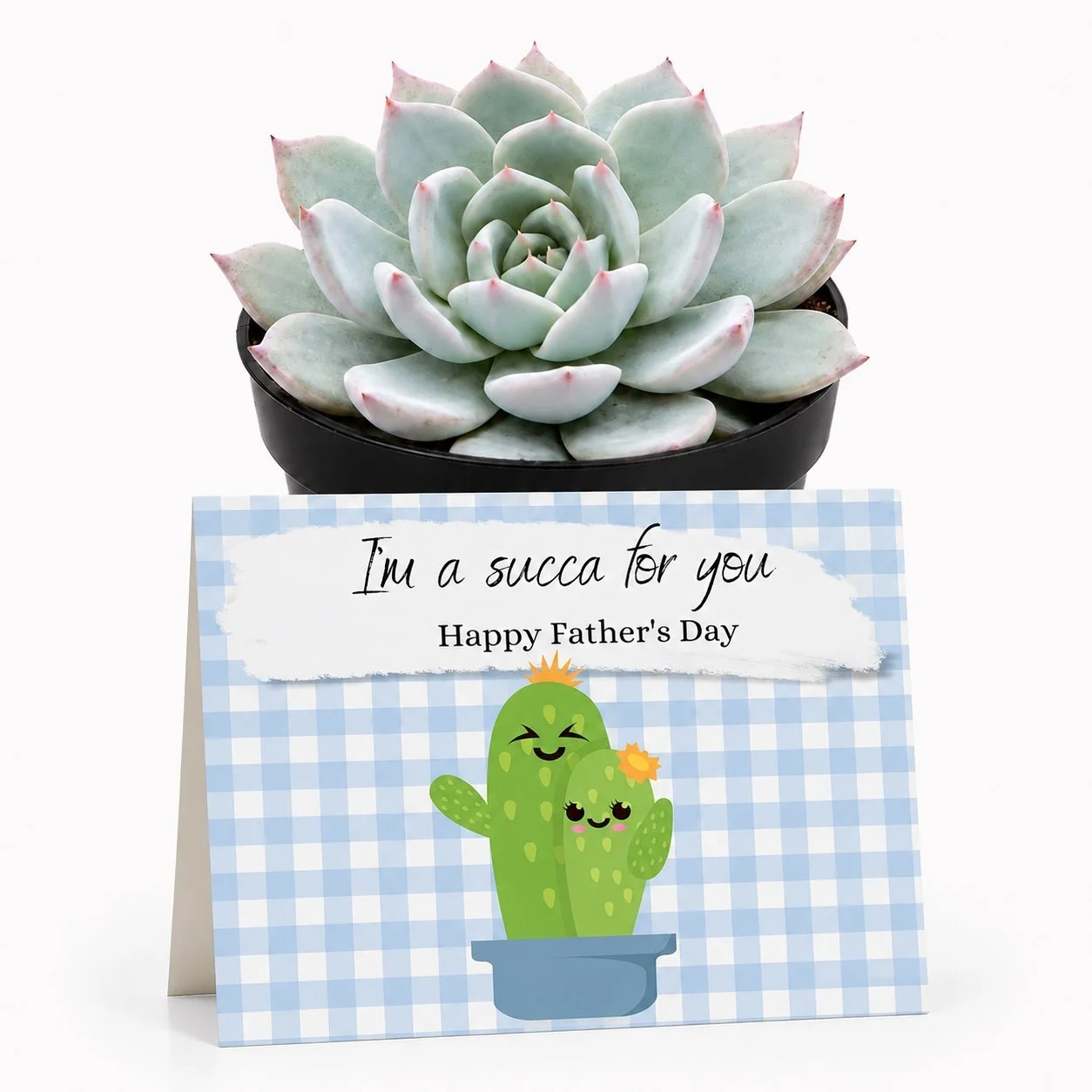 PP Father Succa for you.jpg