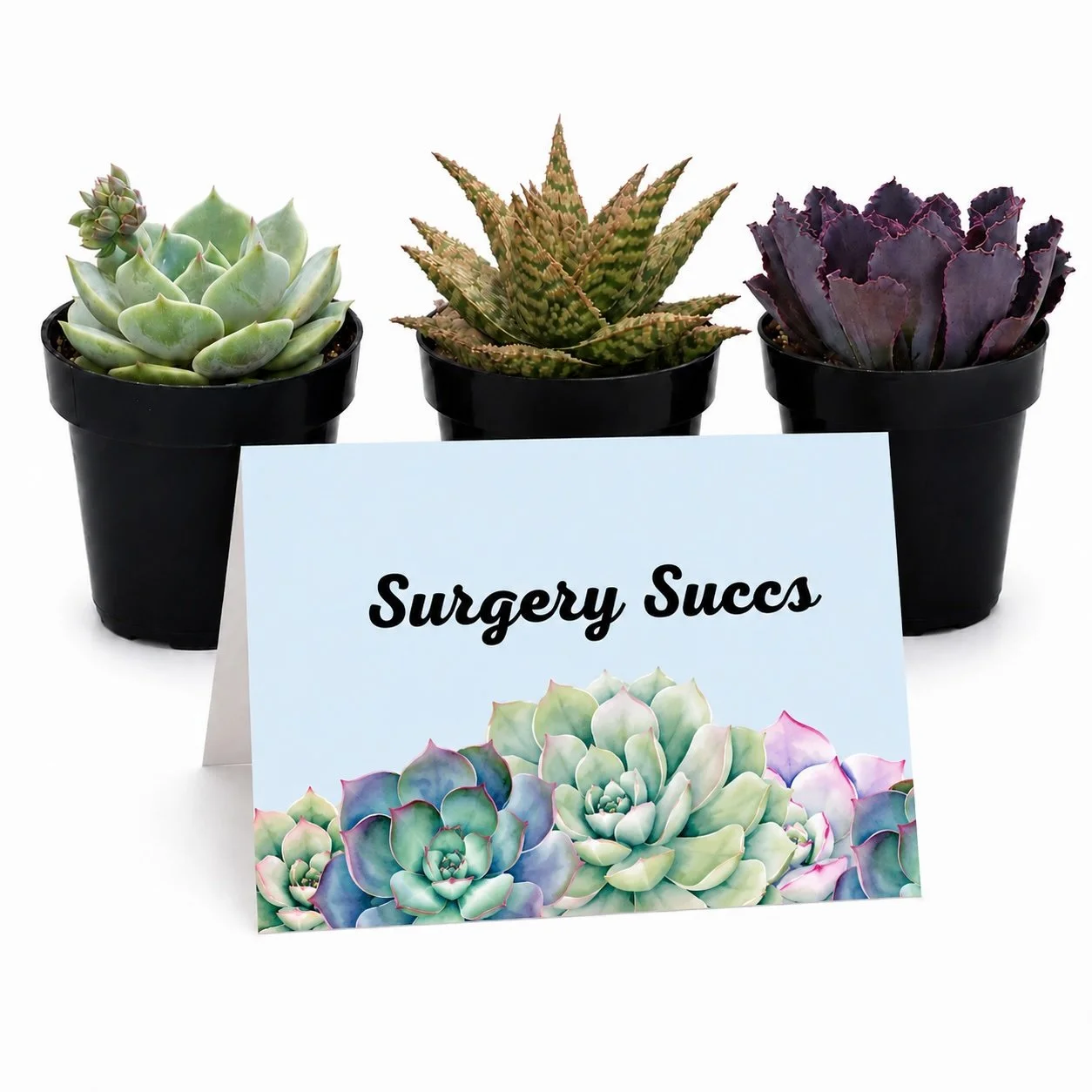 Surgery Succs - Main.jpg