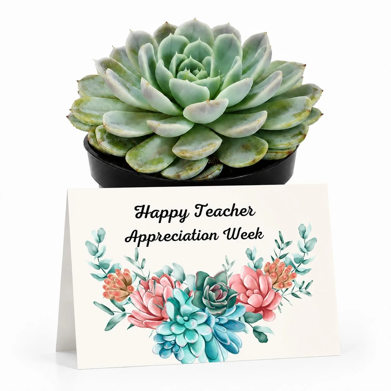 PP Teacher Appreciation Week.jpg