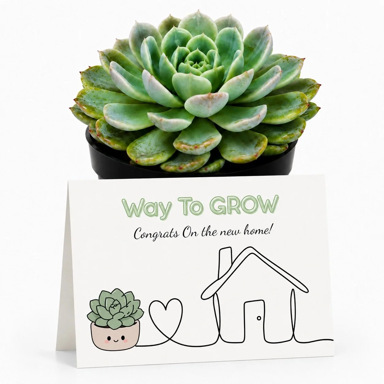 PP - Way to Grow New HOme.jpg