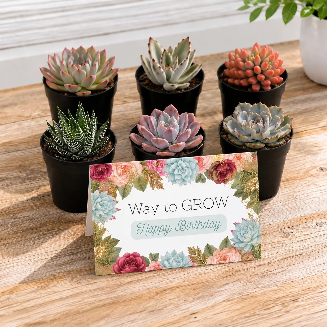 Way to grow Bday - Real.jpg
