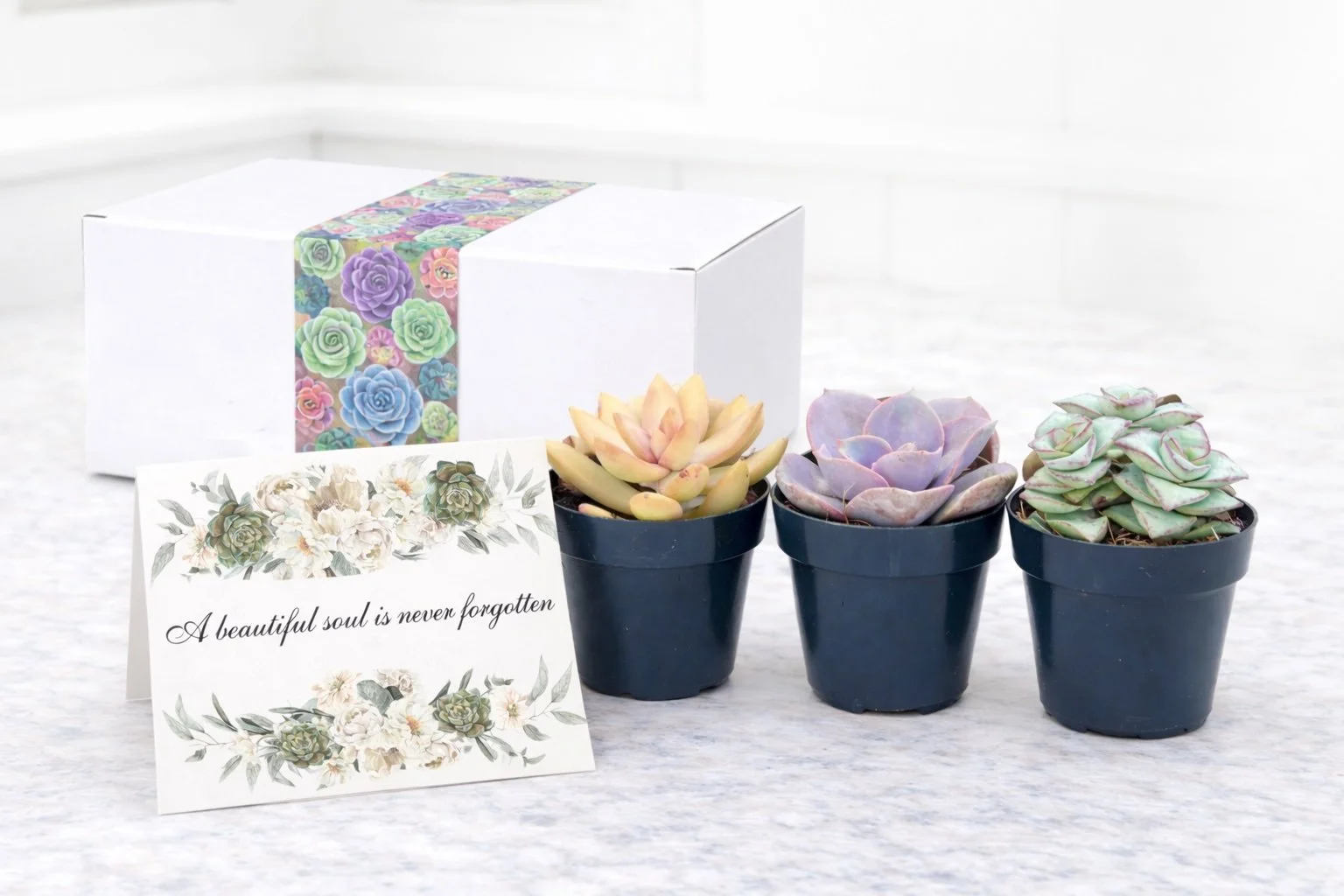 assortment beautiful soul.jpg