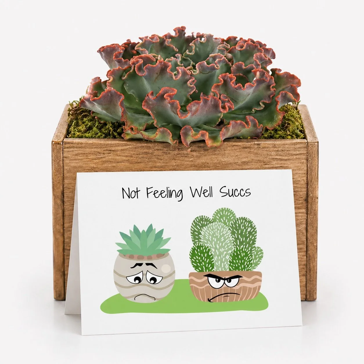 Not feeling well succs.jpg