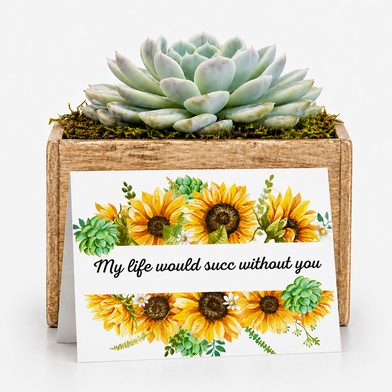 My life would succ.png
